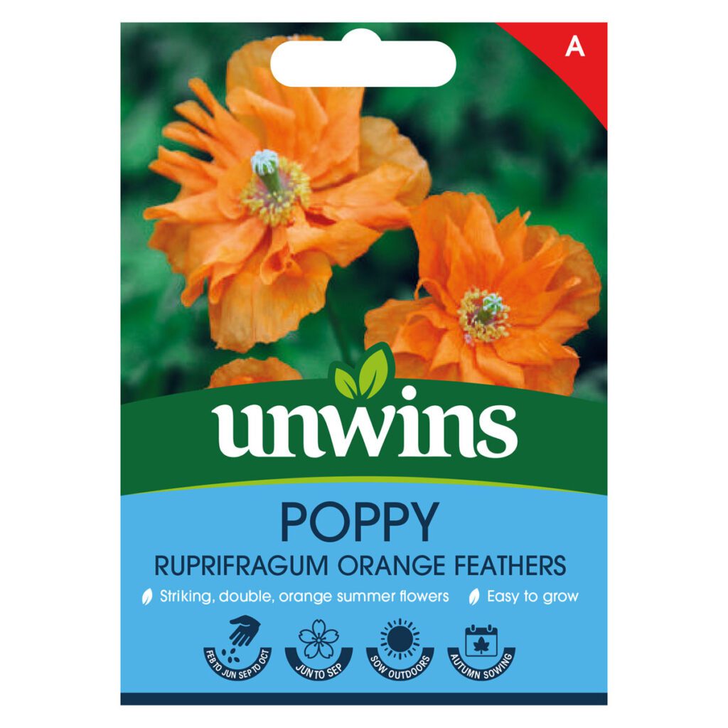 Unwins Papaver ruprifragum Orange Feathers Seeds 5051618036122 2